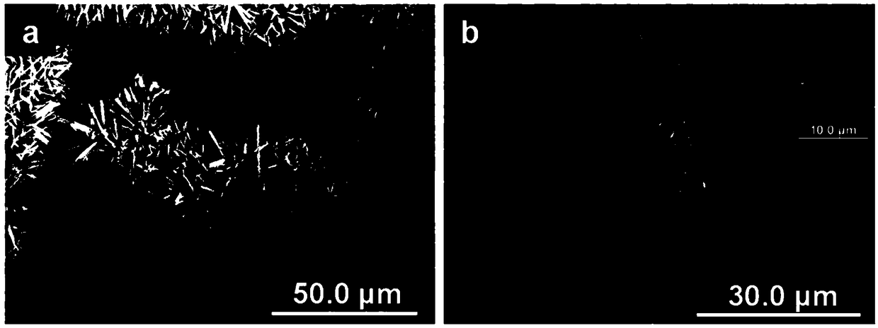 Composite multi-layer network film based on sodium titanate nano wire and cobaltosic oxide nanoneedle, as well as preparation method and application thereof