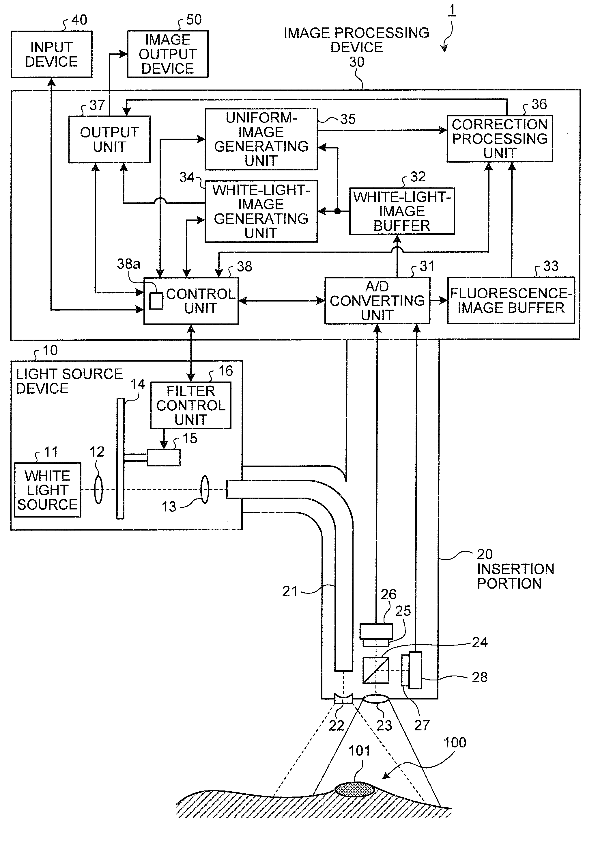 Image processing device, imaging device, computer-readable recording medium, and image processing method