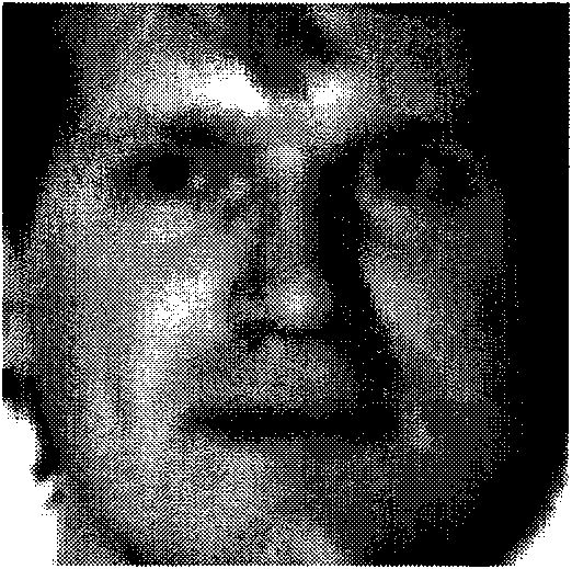 Image cross reconstruction-based single-sample registered image face recognition method