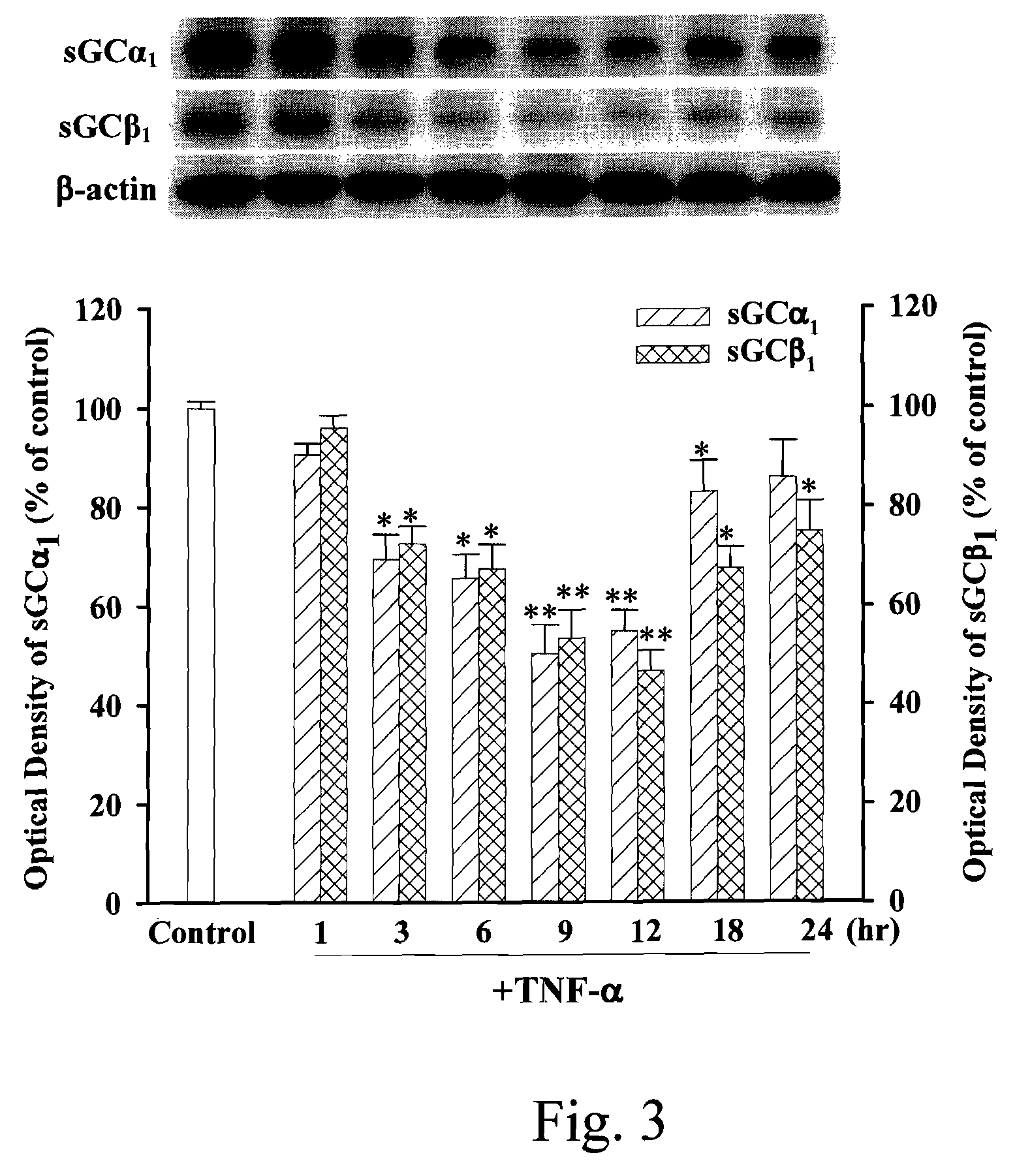 Anti-inflammation activity of newly synthesized xanthine derivatives kmup-1 and kmup-3