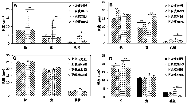 Application of sodium bisulfide as plant stress-resisting agent