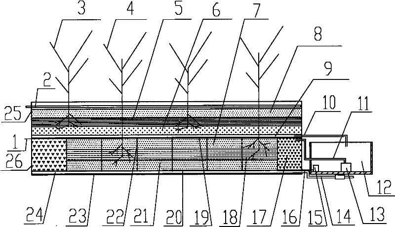 Method for plant arrangement of vertical flow and horizontal subsurface flow combined artificial wetland