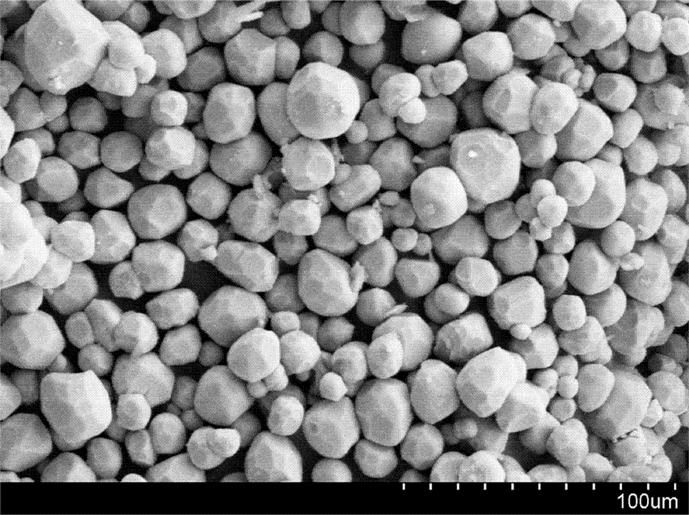 Green silicate fluorescent powder with narrow half peak width and preparation method thereof