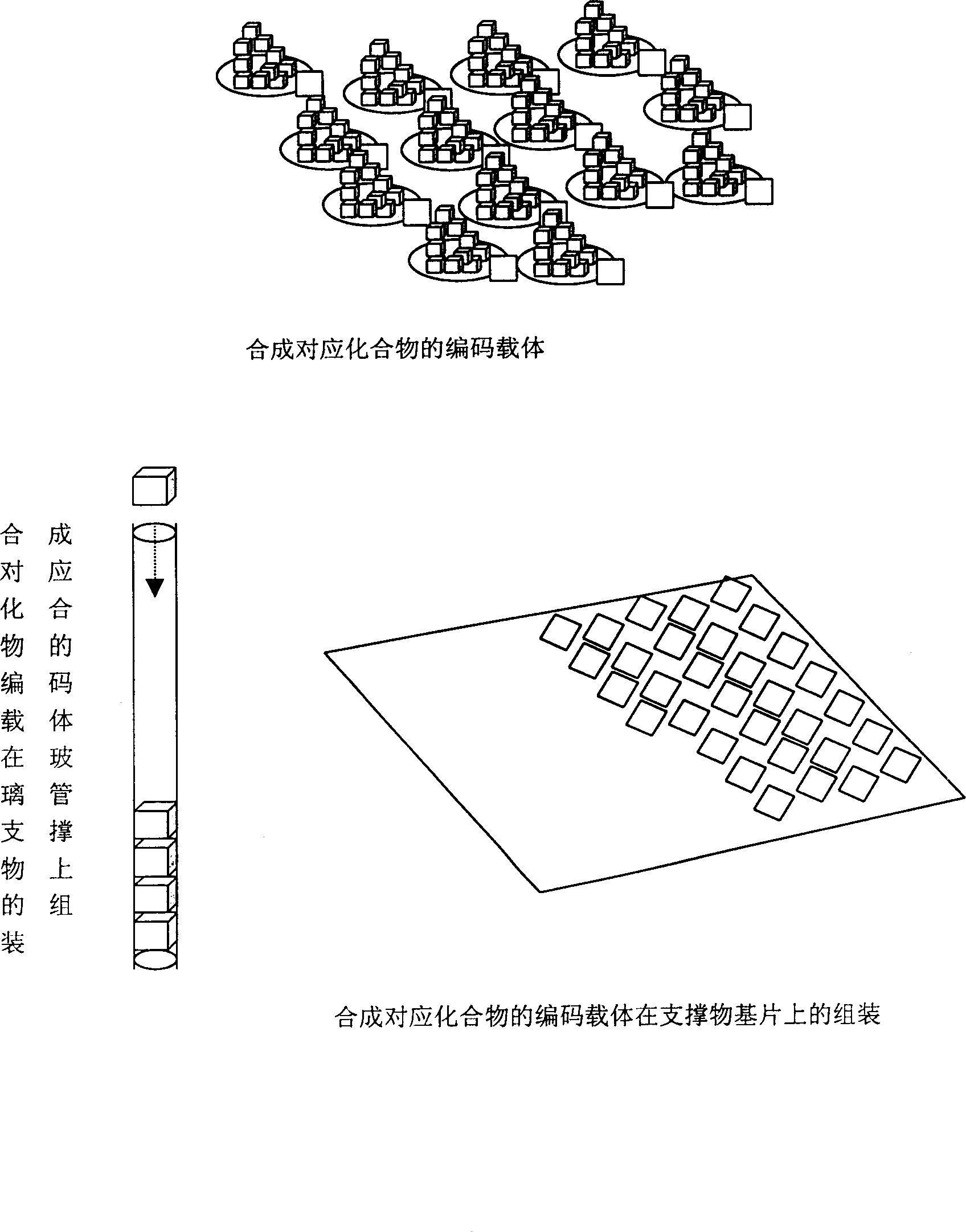 Assembled type compound array chip and its preparing method