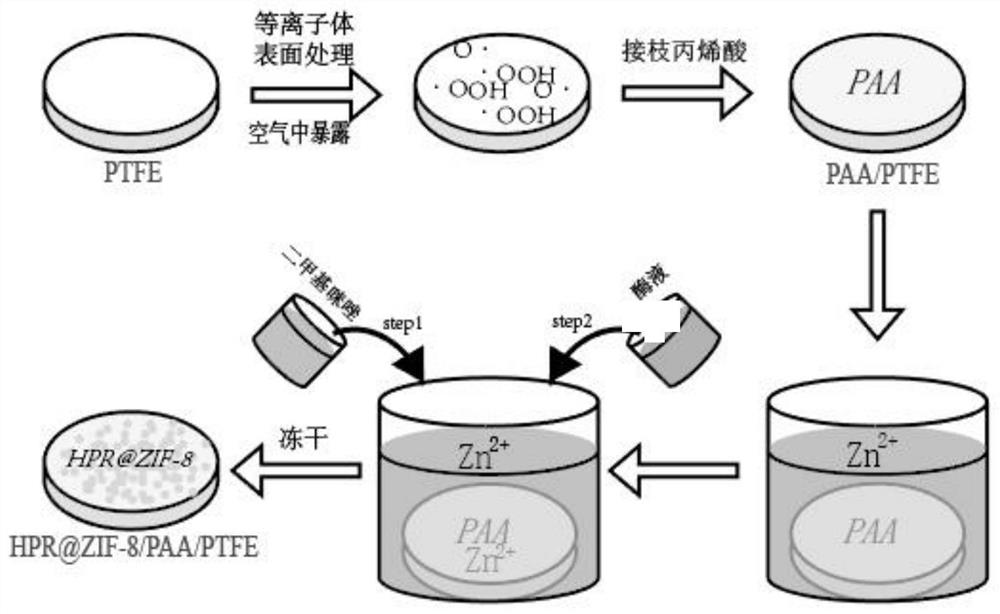 A kind of method for preparing nano-enzyme film in situ