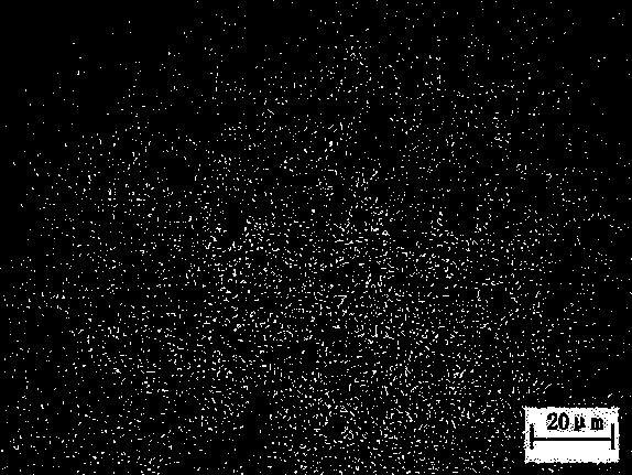 Offshore platform steel with CTOD being greater than or equal to 2 millimeters at minus 40 DEG C and production method thereof