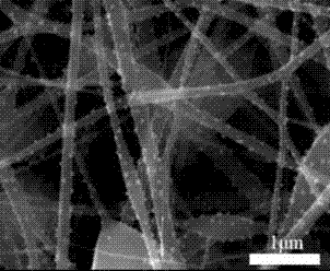 Tin/carbon composite nanofiber material for sodium battery negative electrode and preparation method of tin/carbon composite nanofiber material