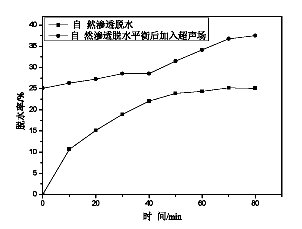 Method for improving osmotic dehydration rate by changing carrot osmotic dehydration balance through ultrasonic field