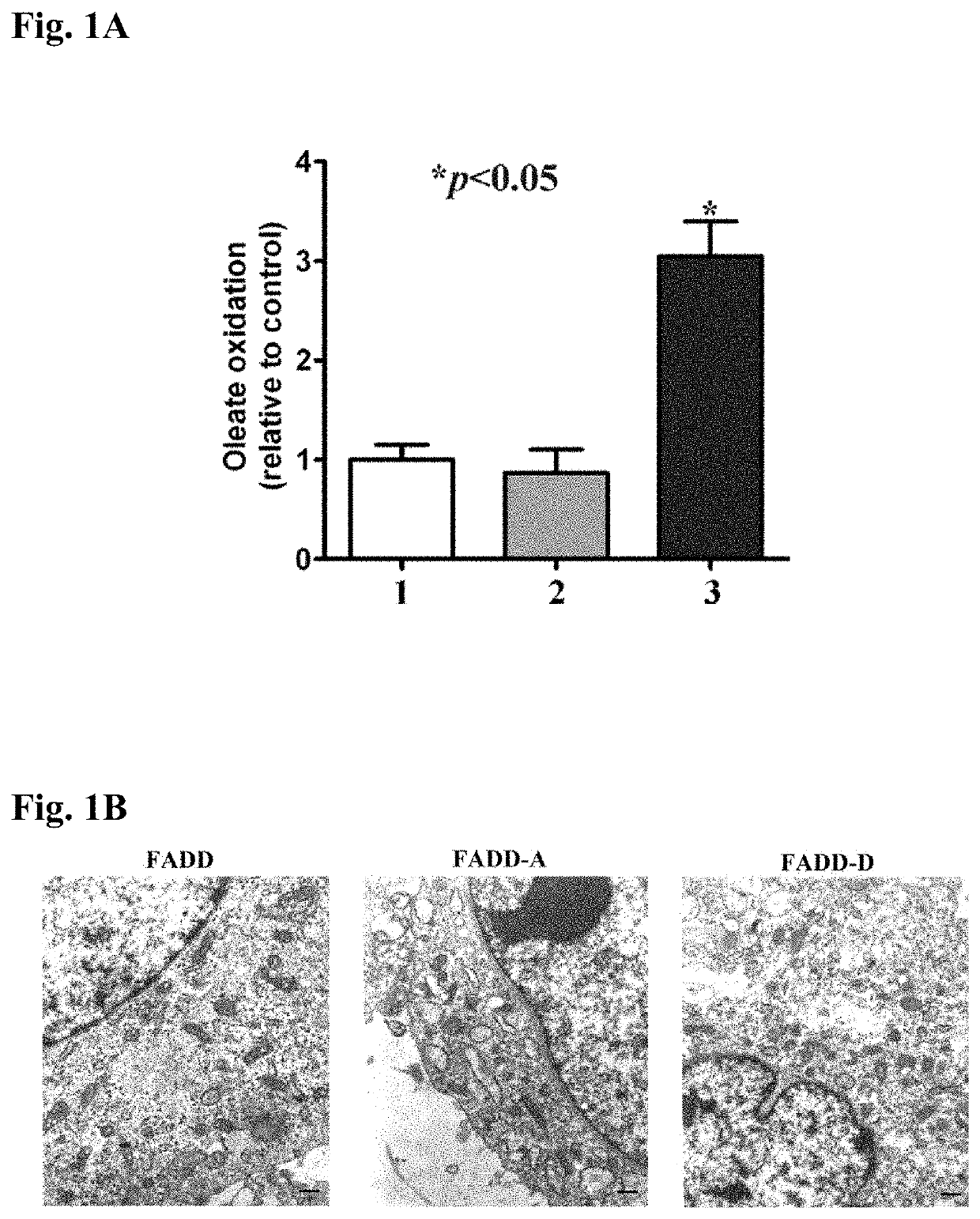 Method for regulating lipolysis and fatty acid oxidative metabolism