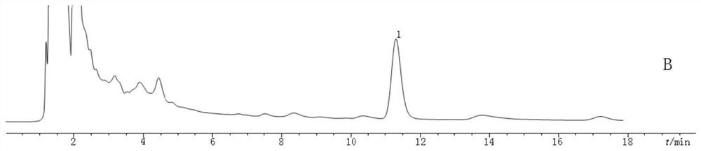 A kind of pharmaceutical composition for treating amblyopia