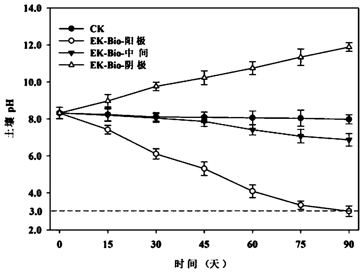 Functional bacterium applicable to petroleum polluted soil repairing in positive column of direct current electric field and application thereof