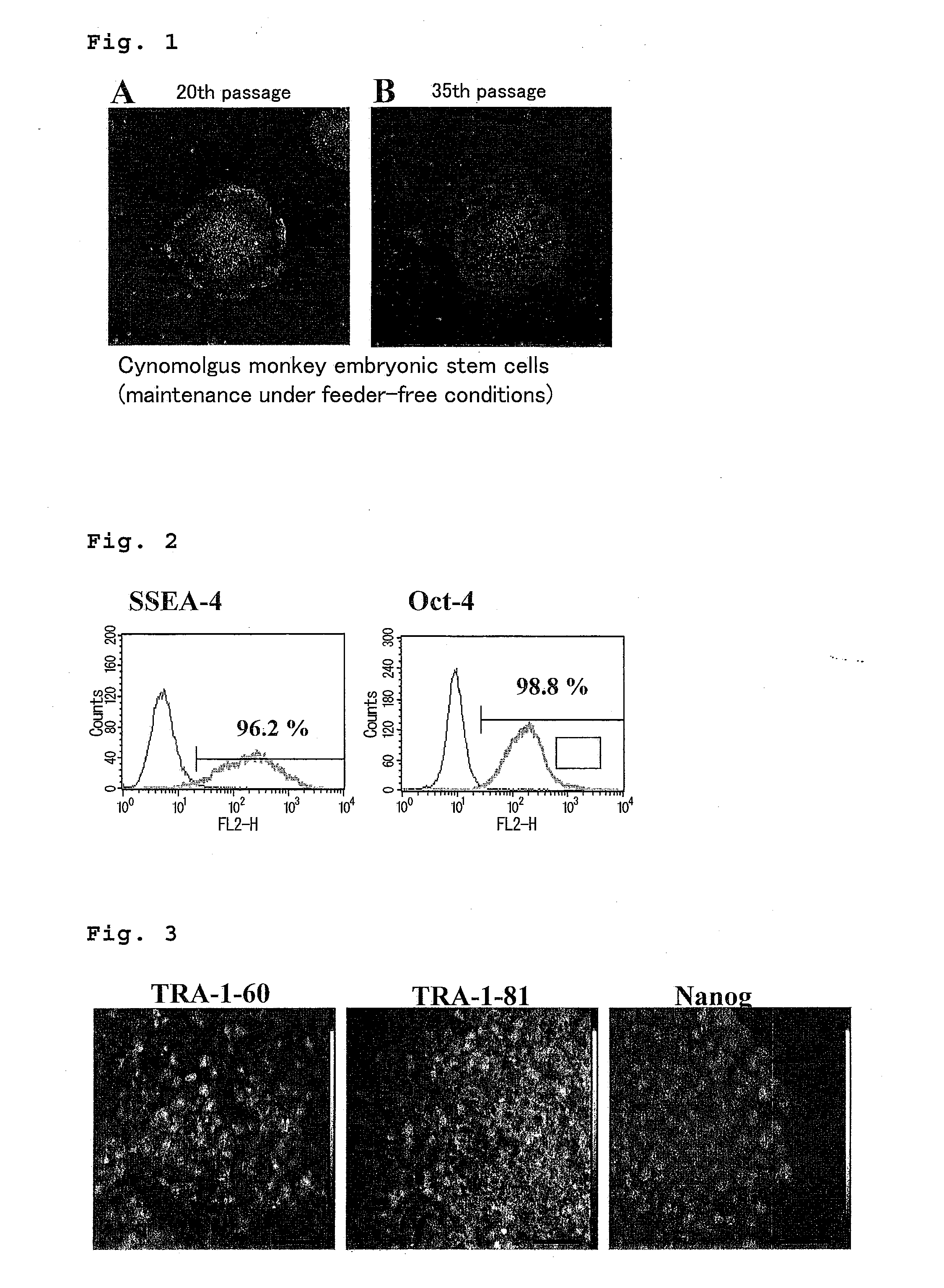 Method for culturing and subculturing primate embryonic stem cell, as well as method for inducing differentiation thereof