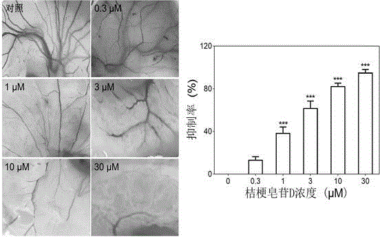 Application of platycodin D in preparing medicaments for inhibiting angiogenesis