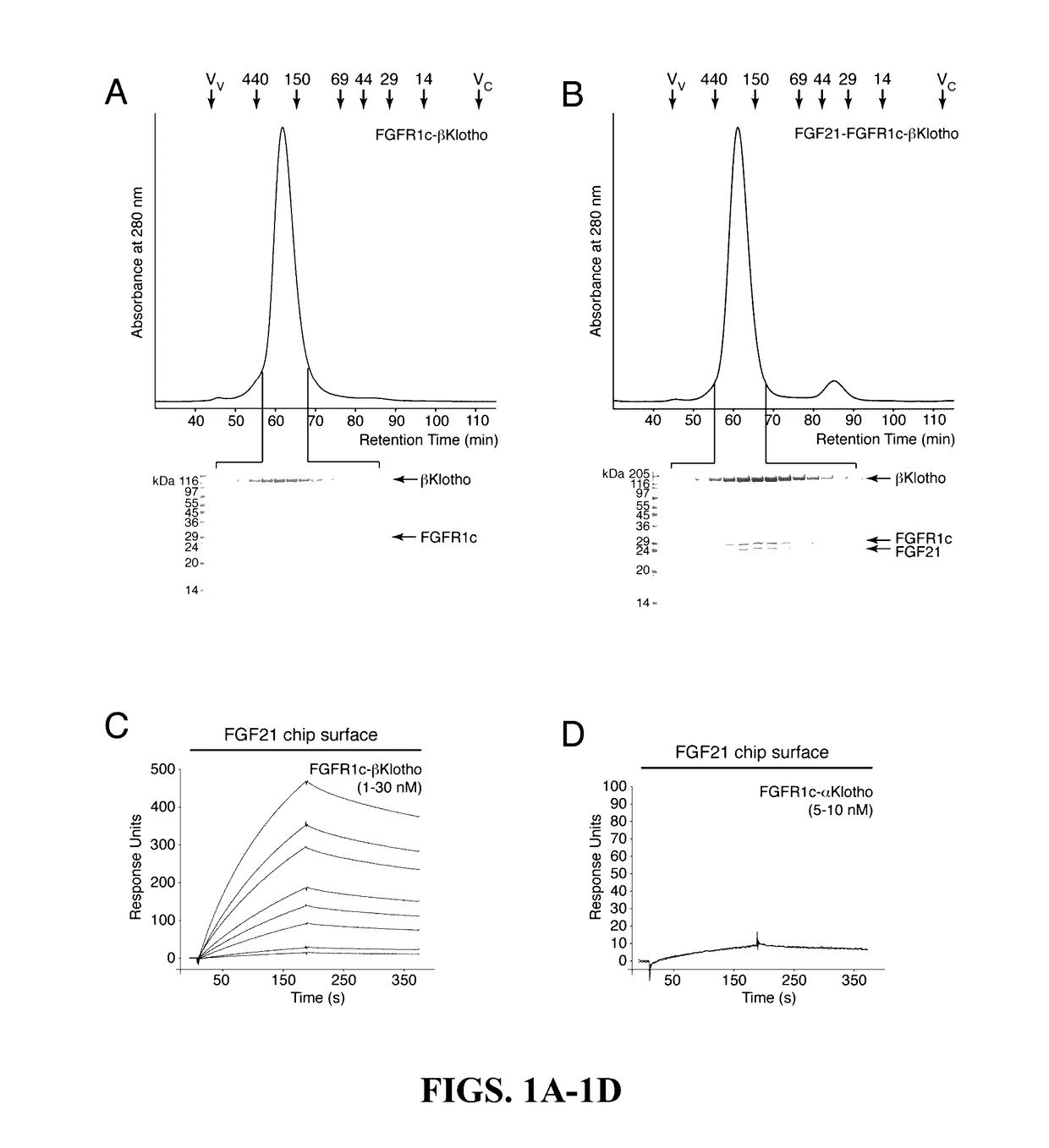 Chimeric fgf21 proteins with enhanced binding affinity for beta-klotho for the treatment of type ii diabetes, obesity, and related metabolic disorders