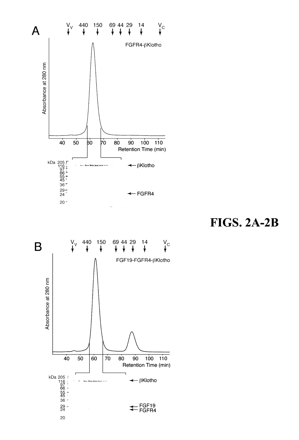 Chimeric fgf21 proteins with enhanced binding affinity for beta-klotho for the treatment of type ii diabetes, obesity, and related metabolic disorders
