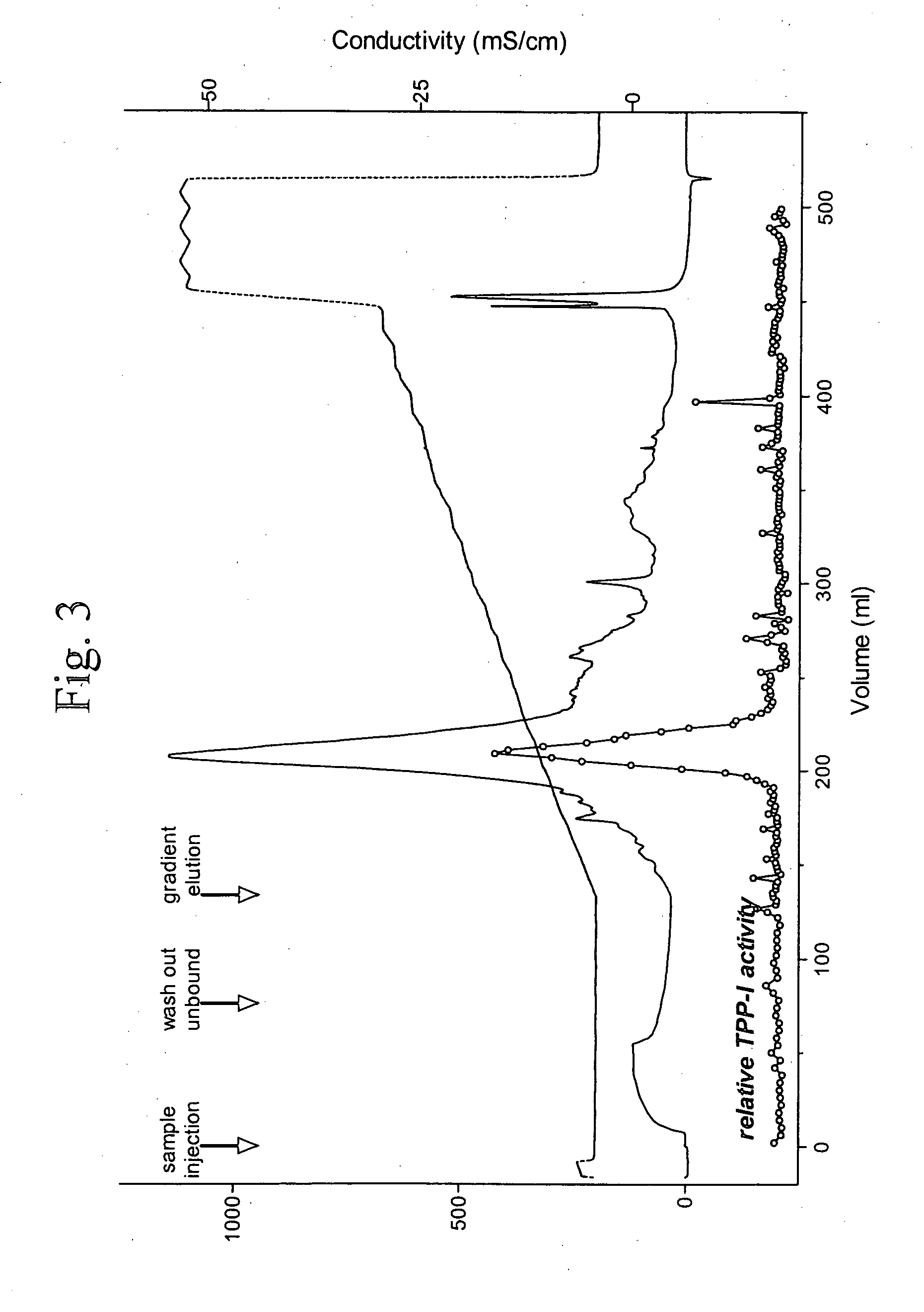 Recombinant human CLN2 protein and methods of its production and use