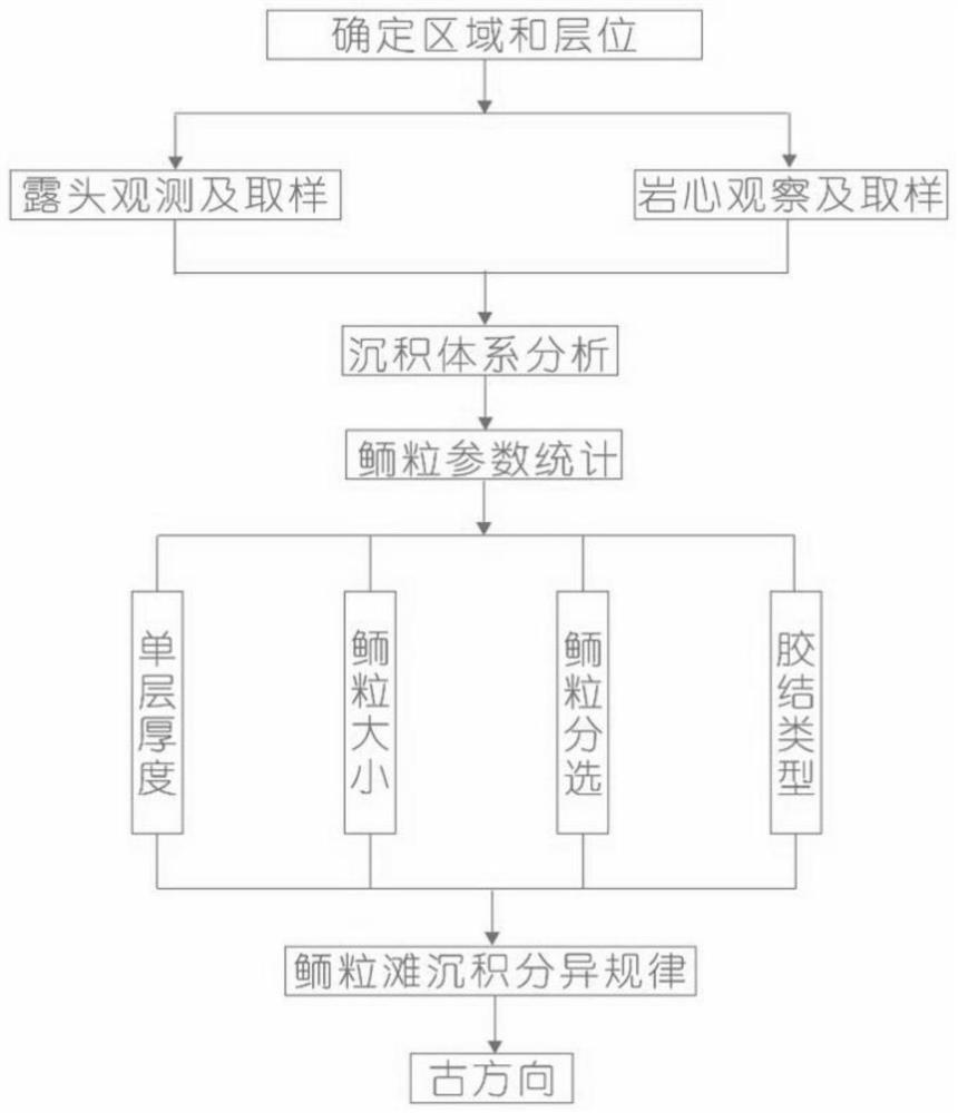 Method for determining ancient wind direction through distribution rule of oolitic beaches on carbonate rock platform