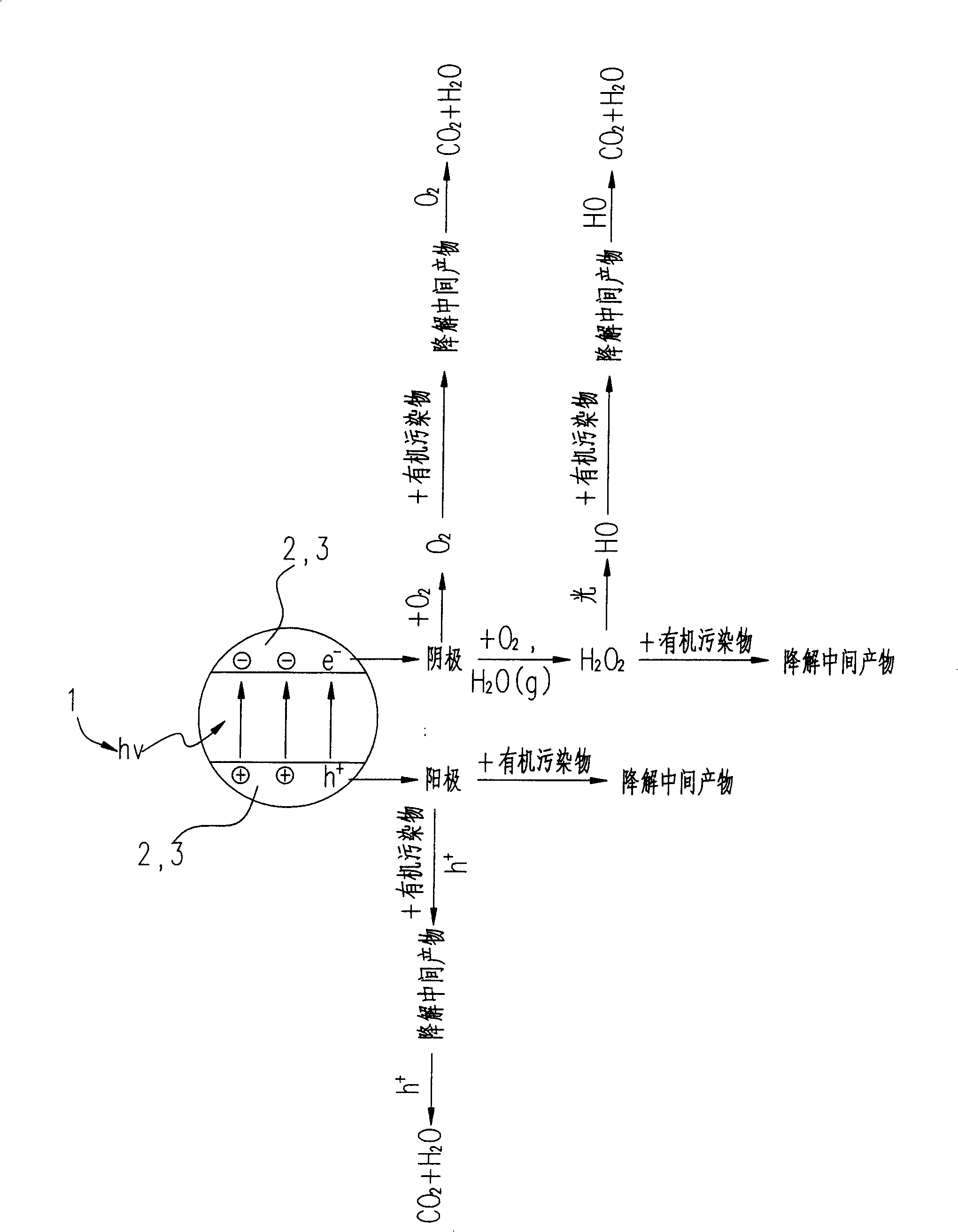Photoelectricity catalytic reactor for degrading organic contaminant and degradation method
