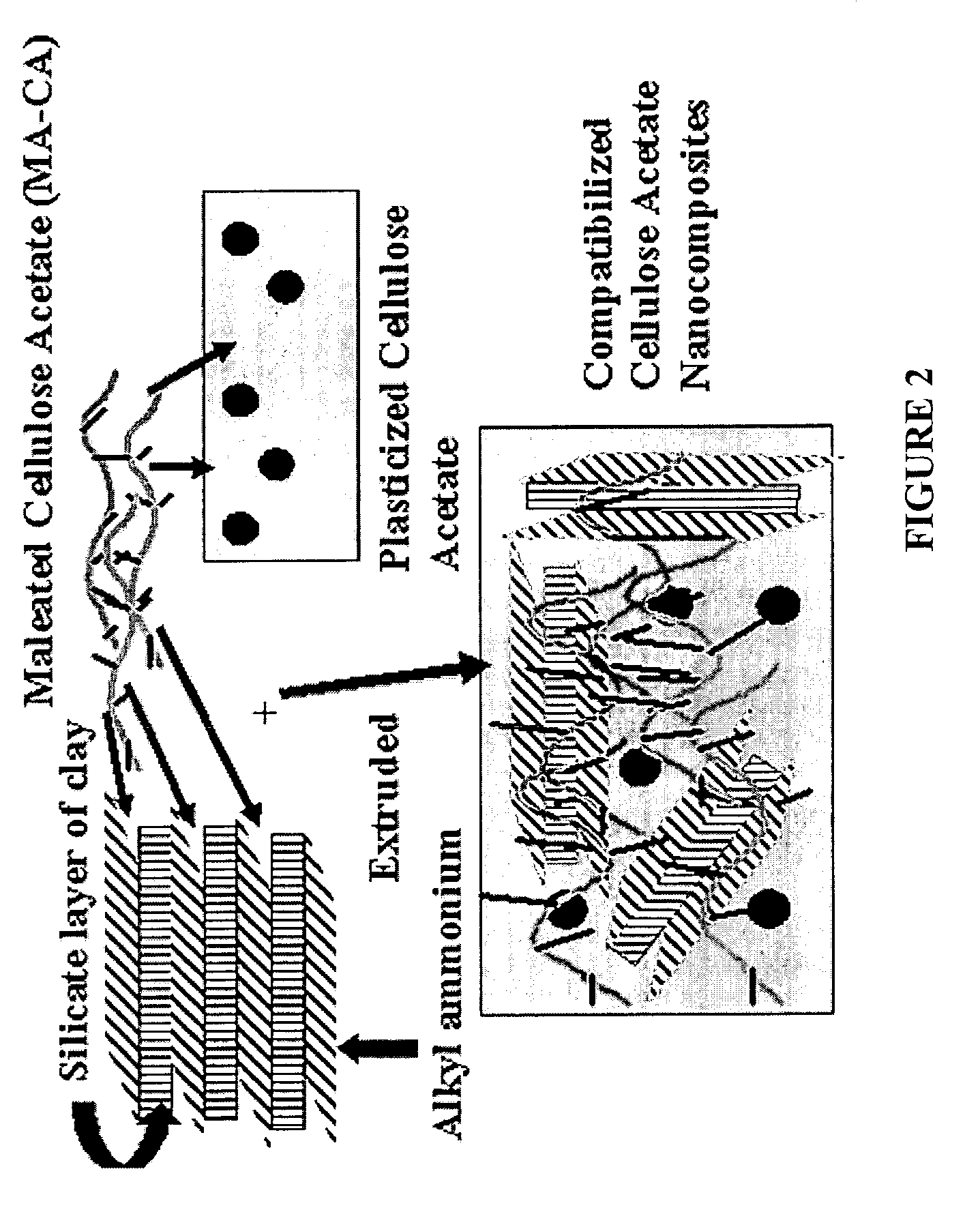 Compositions of cellulose esters and layered silicates and process for the preparation thereof