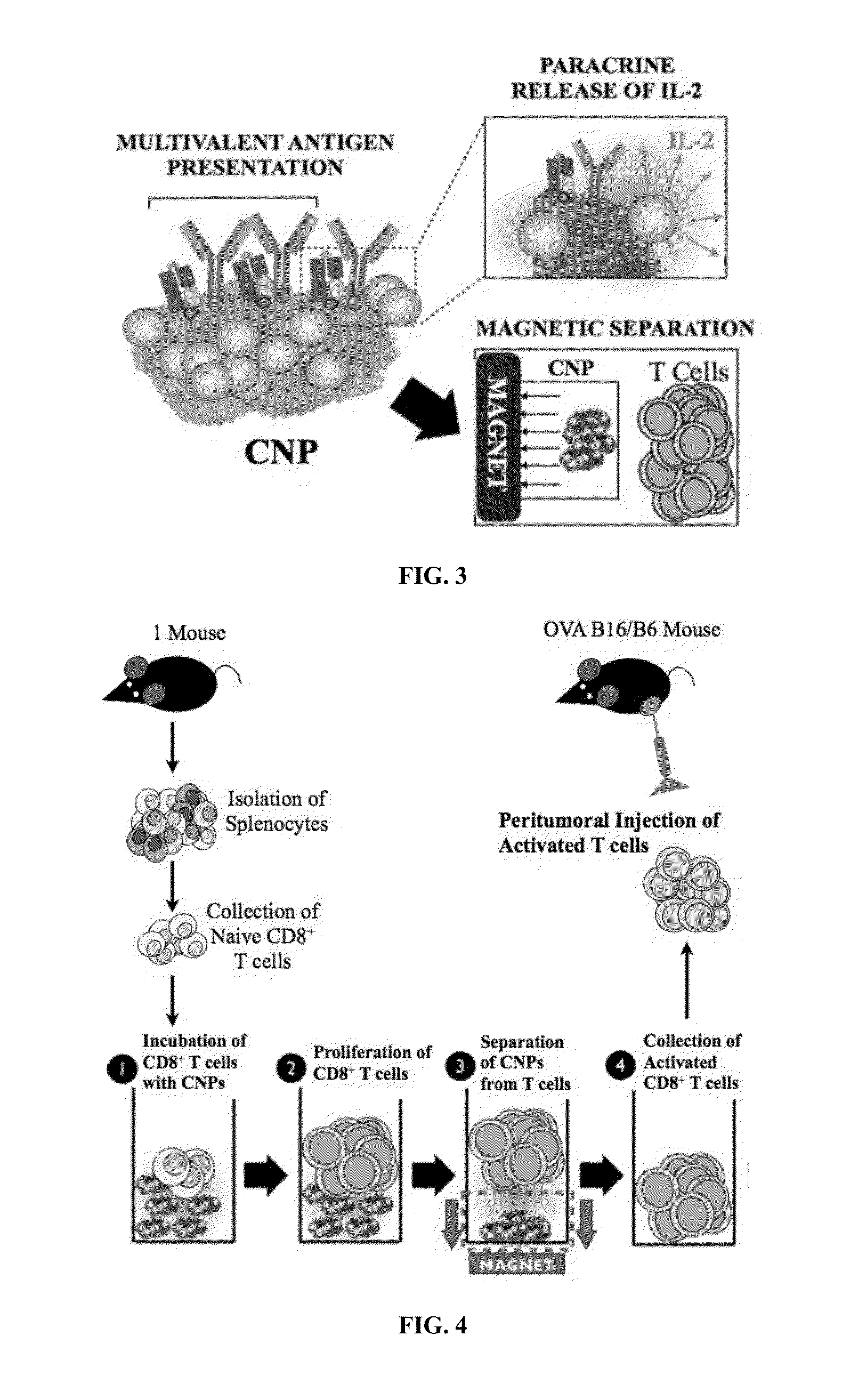Carbon Nanotube Compositions and Methods of Use Thereof