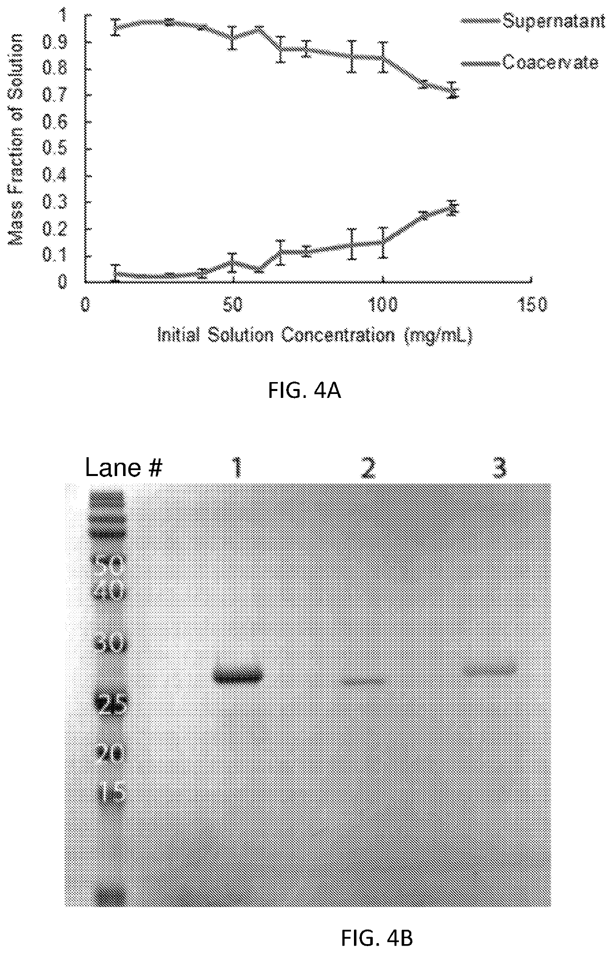 Protein-based adhesive and its modification