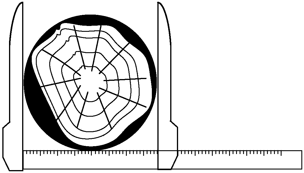 Diameter measurement method based on shear ruler