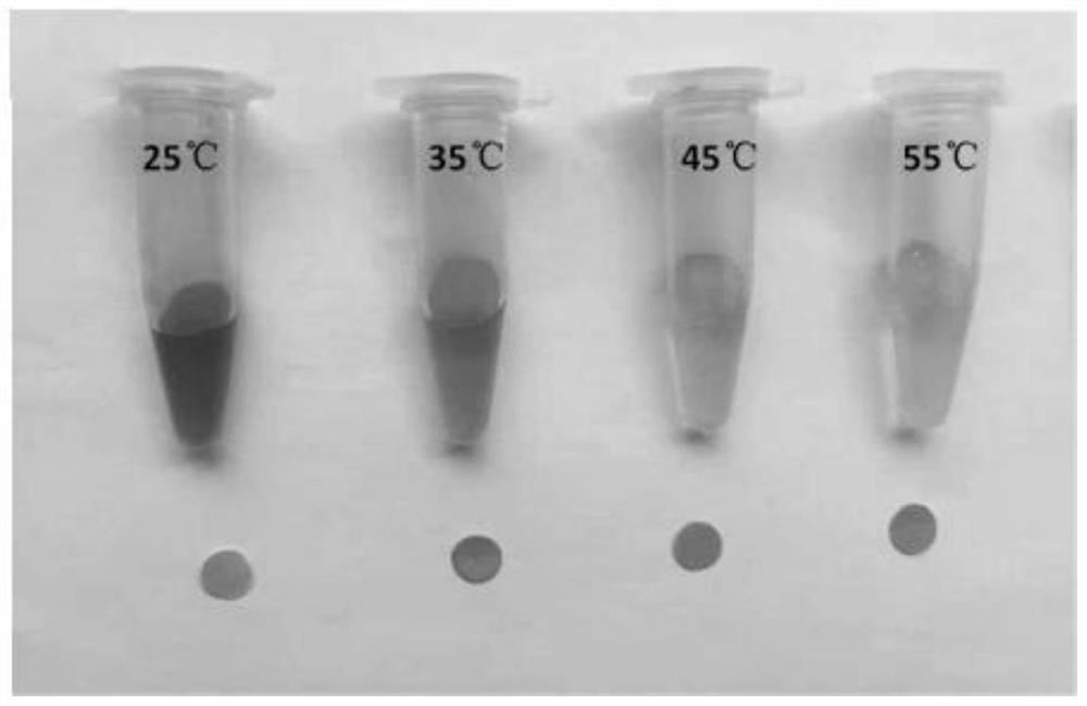 Nano-gold test paper film and its application in chloride ion detection