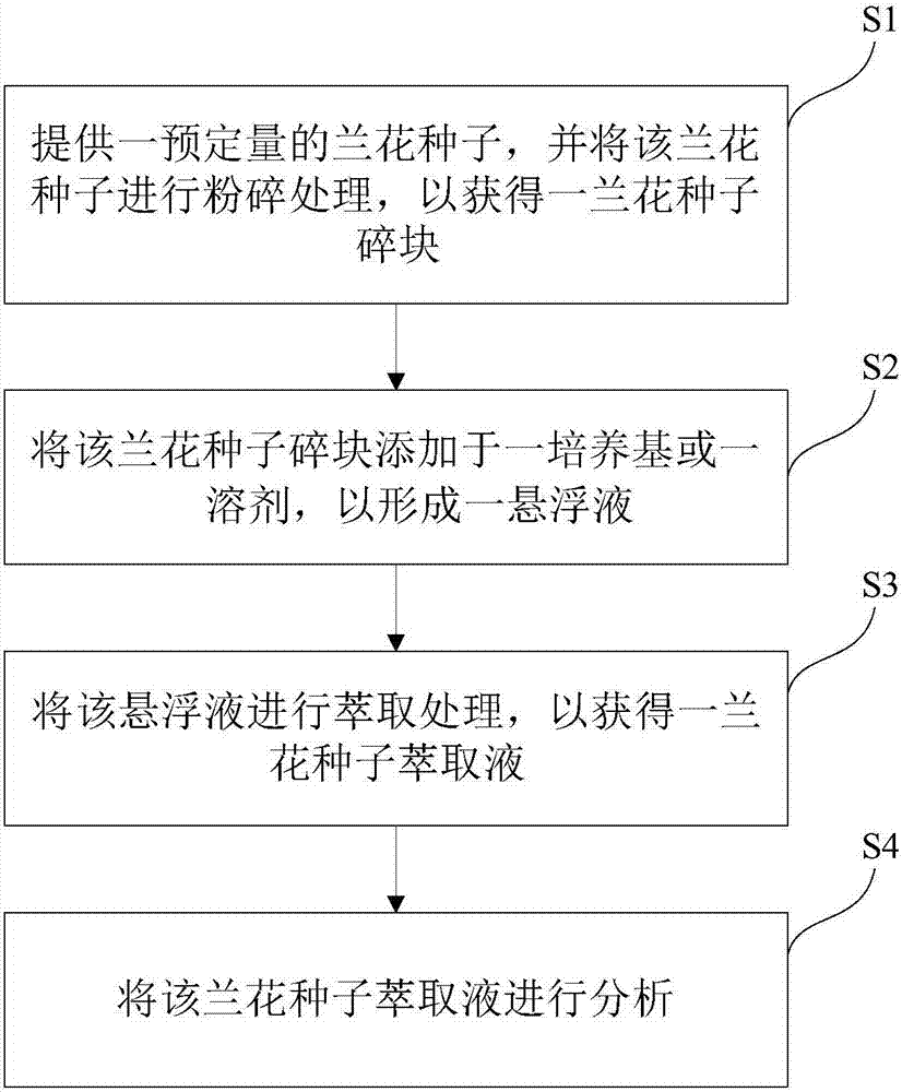 Orchid seed extract and addition product thereof