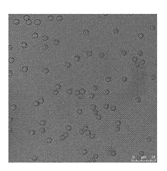 Anti-cancer medicament silicon plastid microcapsule and preparation method thereof