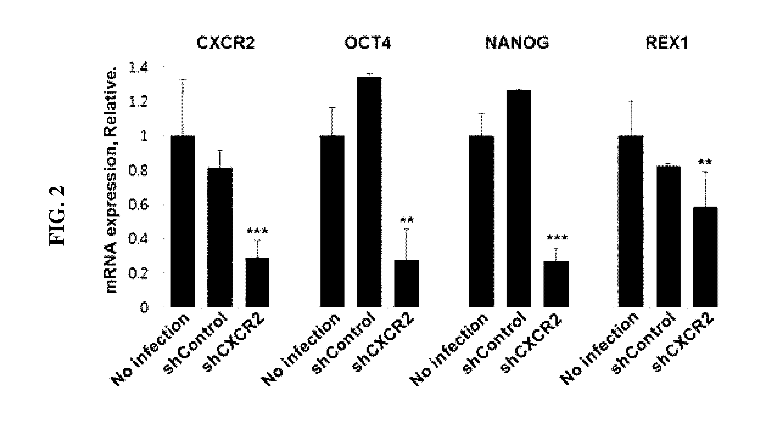 Method for inducing endodermal and mesodermal differentiation from human pluripotent stem cells by cxcr2 suppression