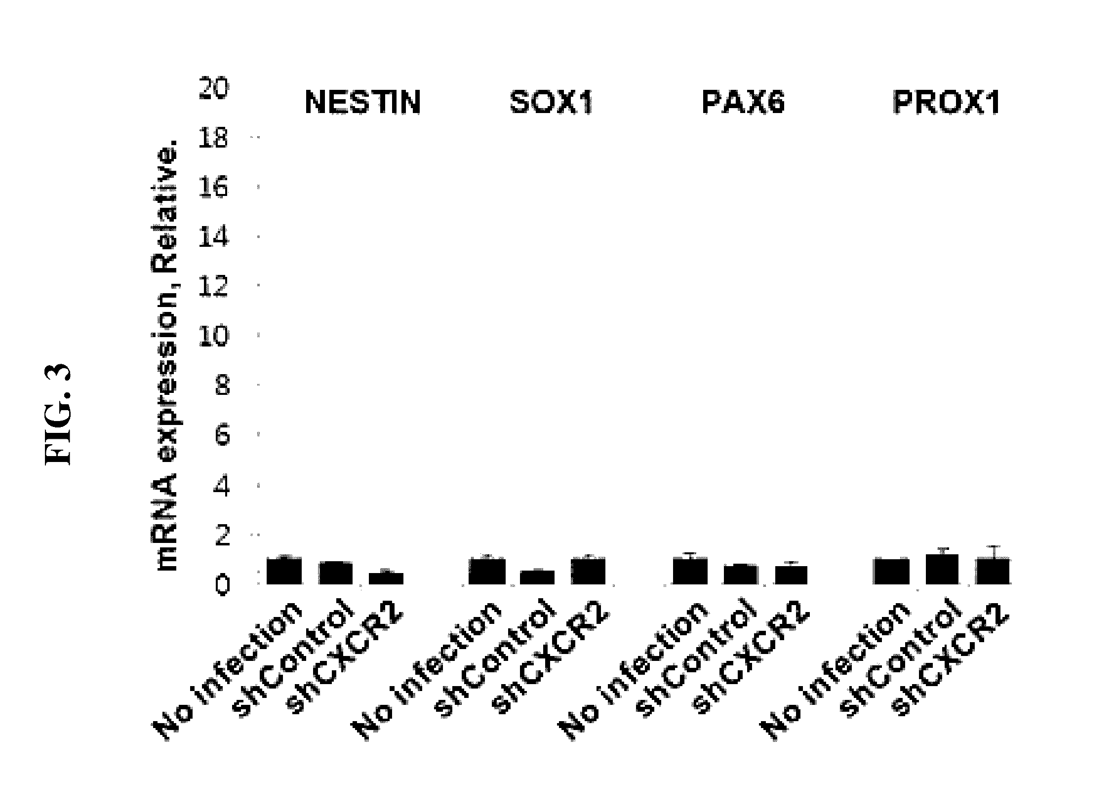 Method for inducing endodermal and mesodermal differentiation from human pluripotent stem cells by cxcr2 suppression