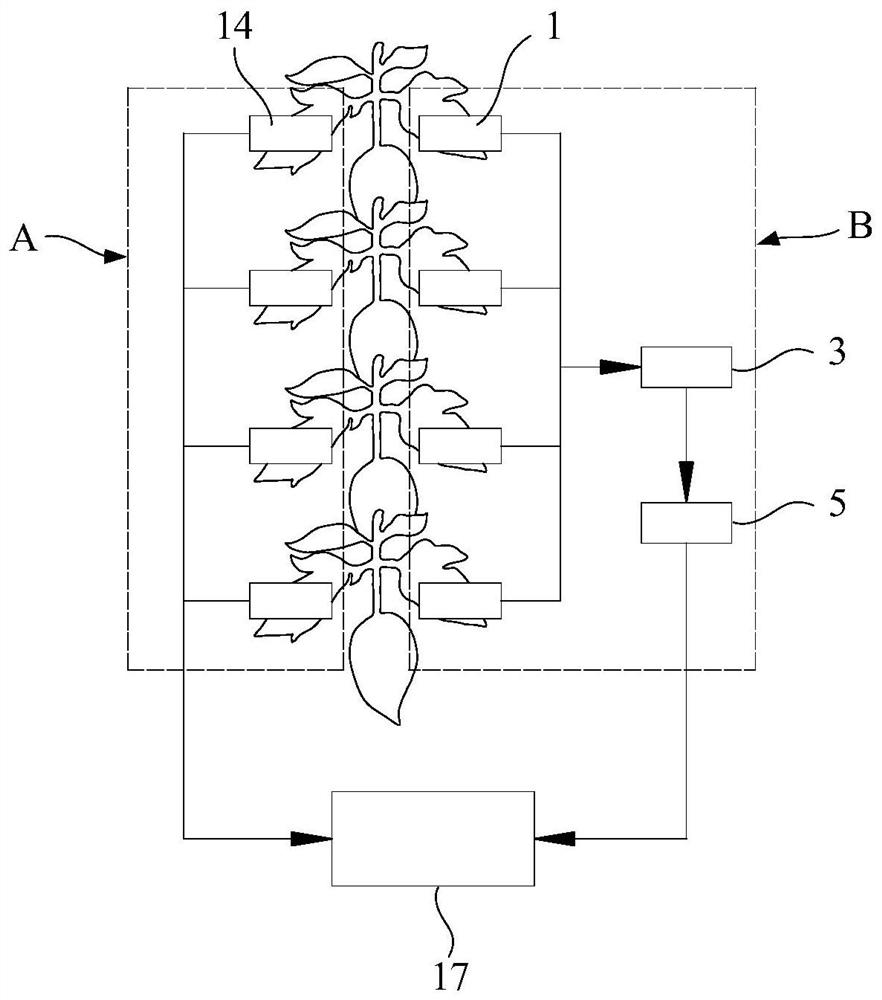 Crop leaf embolism vulnerability measurement system and method