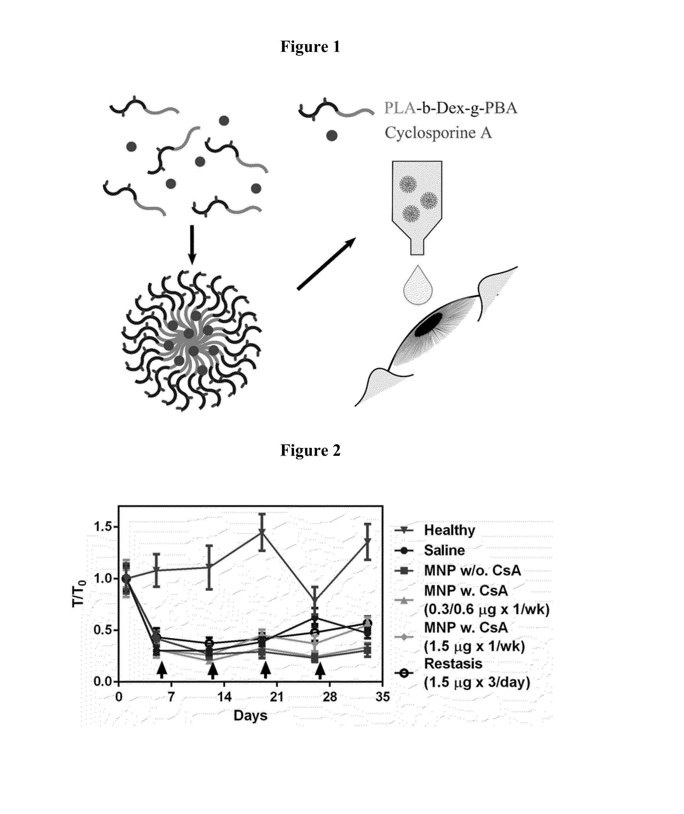 Mucoadhesive nanoparticle composition comprising immunosuppresant and methods of use thereof