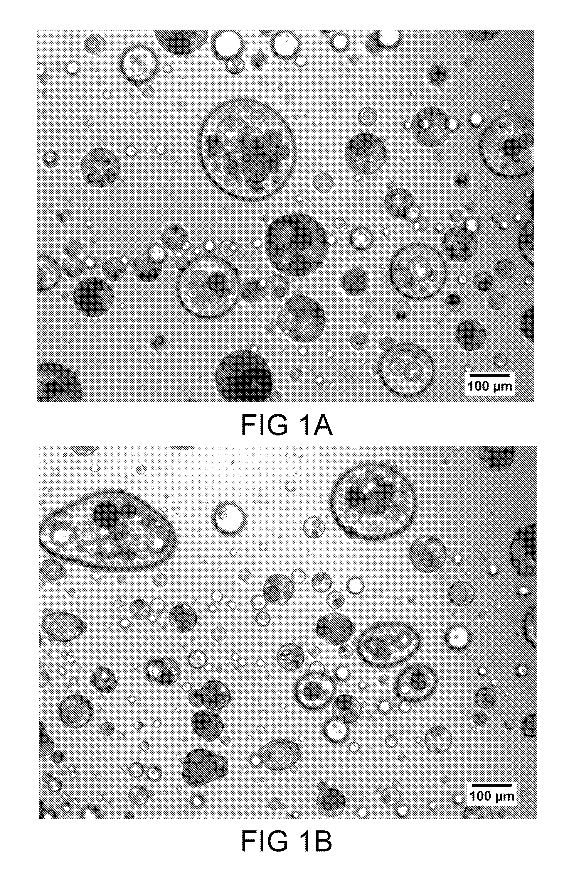 Dosage form comprising an active ingredient and a plurality of solid porous microcarriers