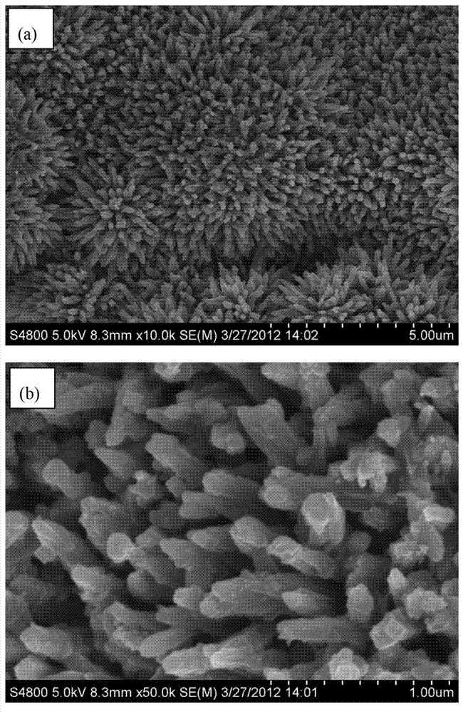 Method of loading titanium dioxide nanorod arrays on surface of titanium wire mesh