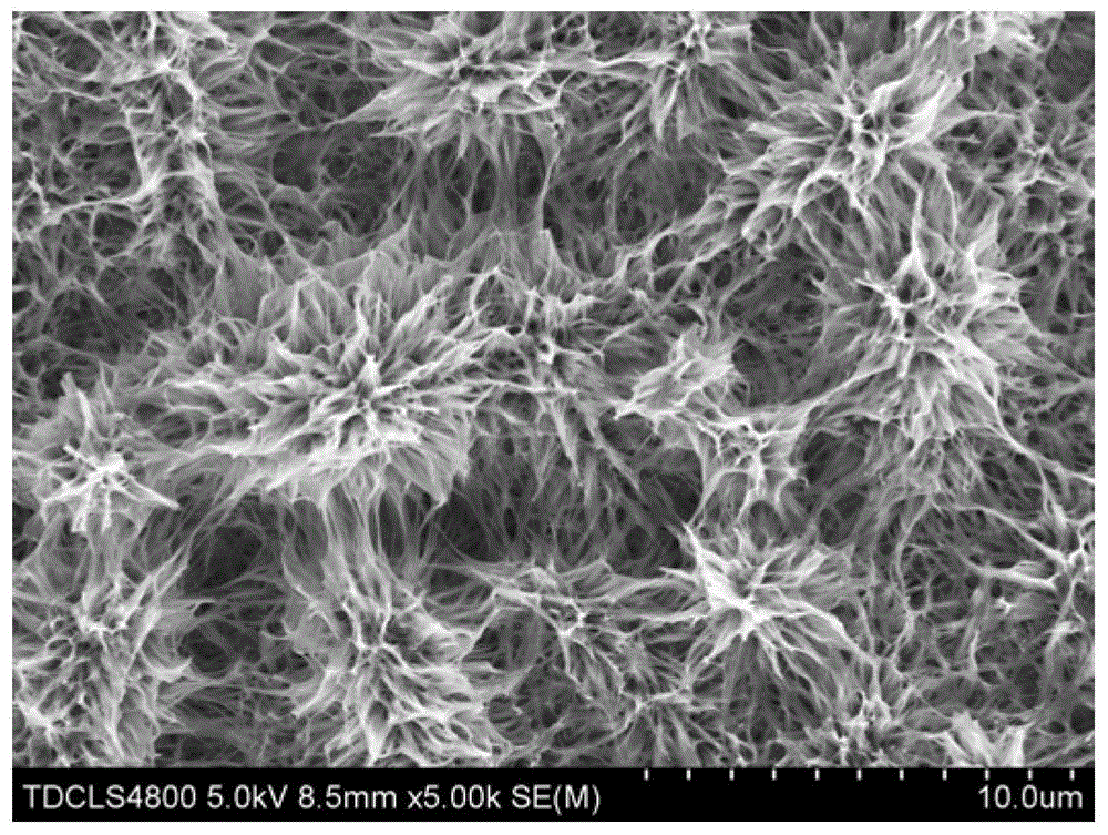 Preparation method for ethanol gas sensor based on vanadium pentoxide multilevel nanometer network structure