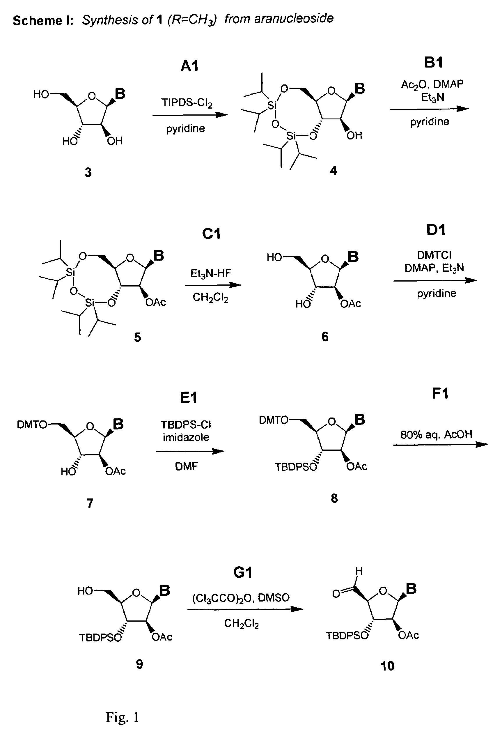 Polycyclic sugar surrogate-containing oligomeric compounds and compositions for use in gene modulation