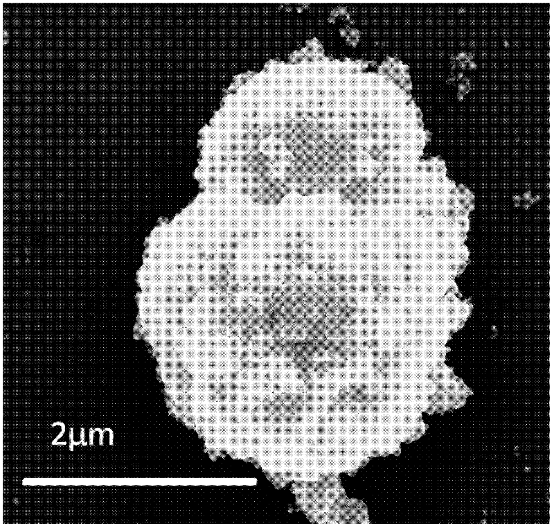 Preparation method for ferric oxide coated tin dioxide nanometer polycrystalline microballoon