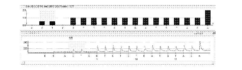 Kit and method for detecting gene polymorphism of irinotecan personalized medicine by pyrophosphoric acid sequencing method
