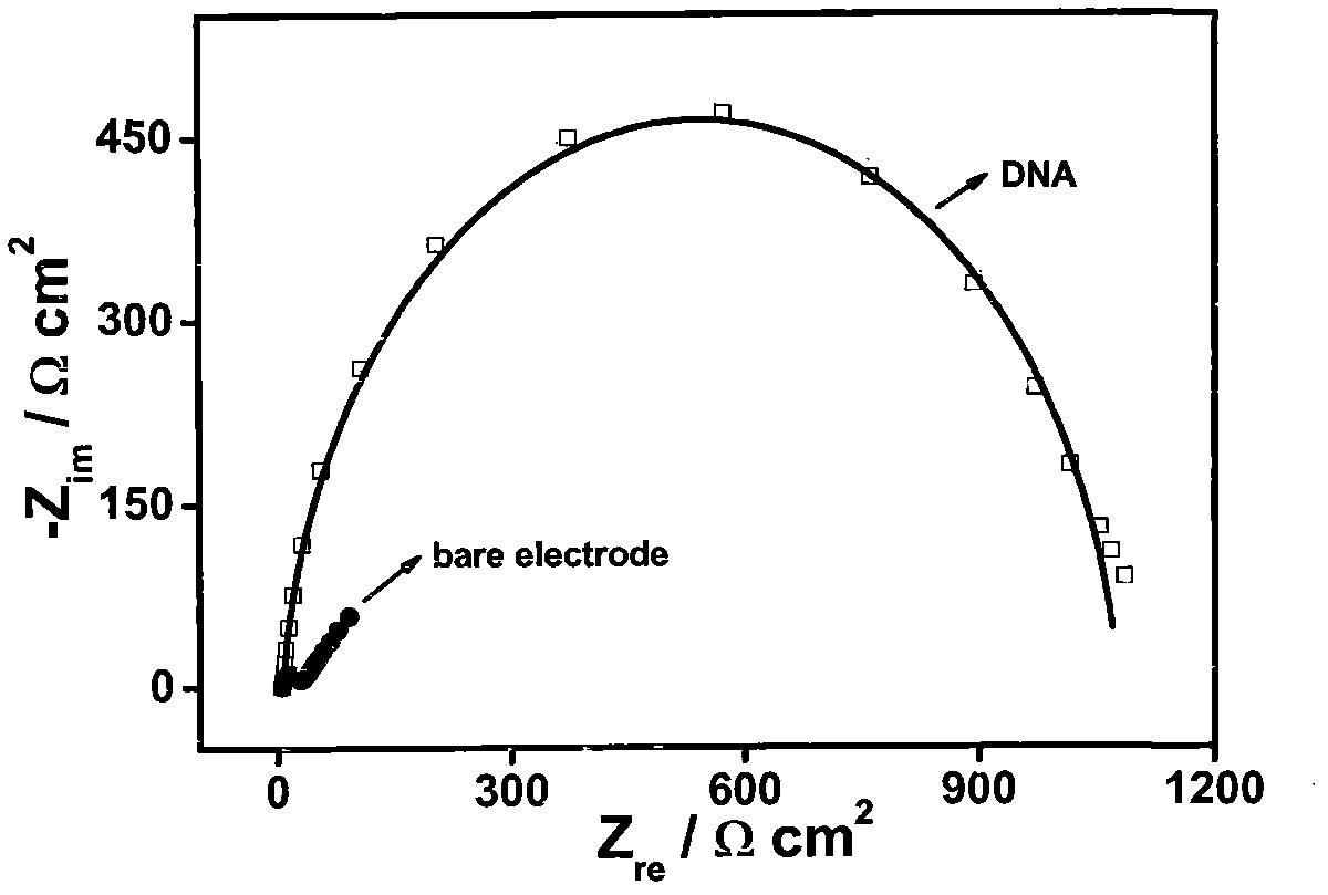 Method for simultaneously determining Pb&lt;2+&gt; and Hg&lt;2+&gt; based on electrochemical DNA biosensor
