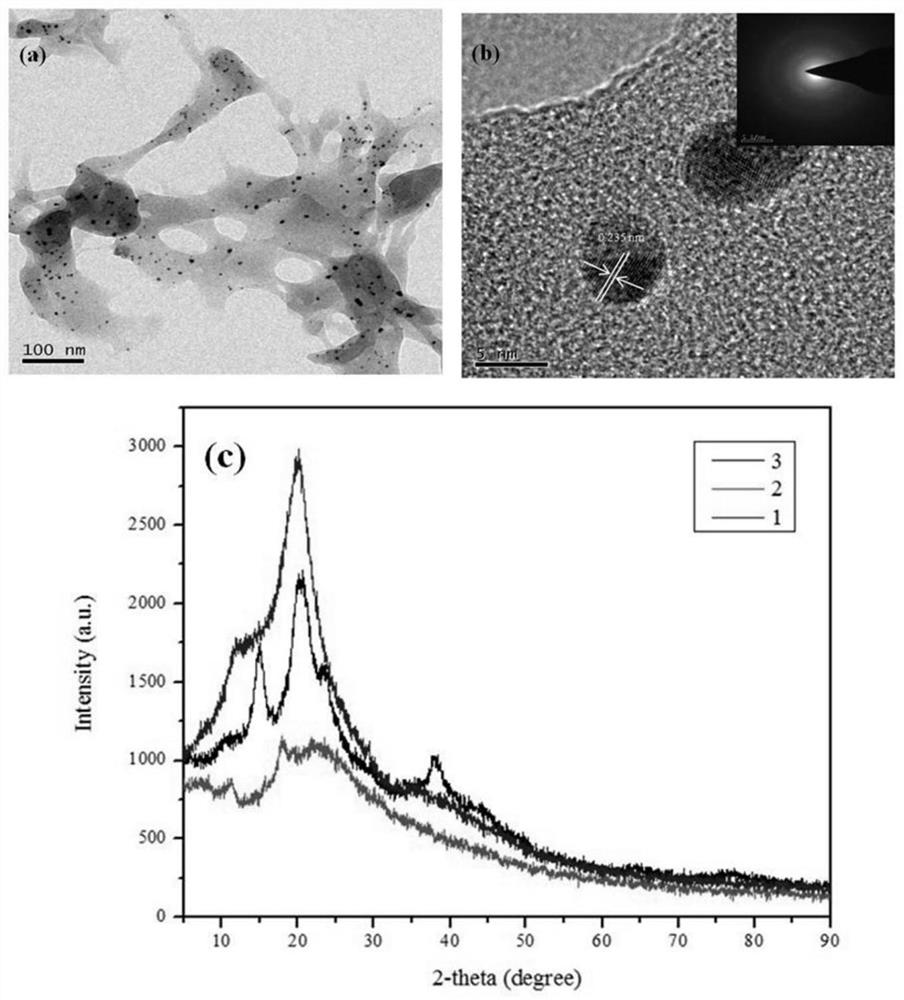 Chitosan/nano-metal composite hydrogel as well as preparation method and application thereof