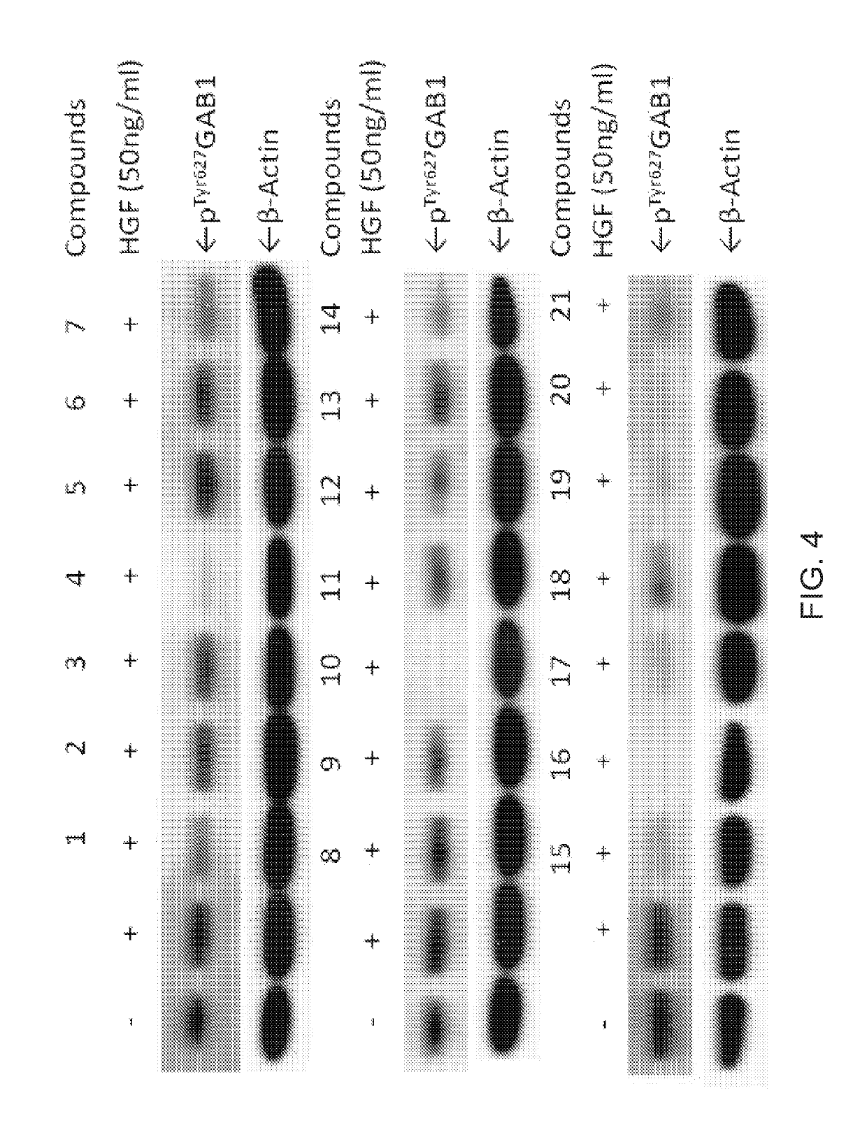 Inhibitors of GRB2-associated binding protein 1 (GAB1) and methods of treating cancer using the same