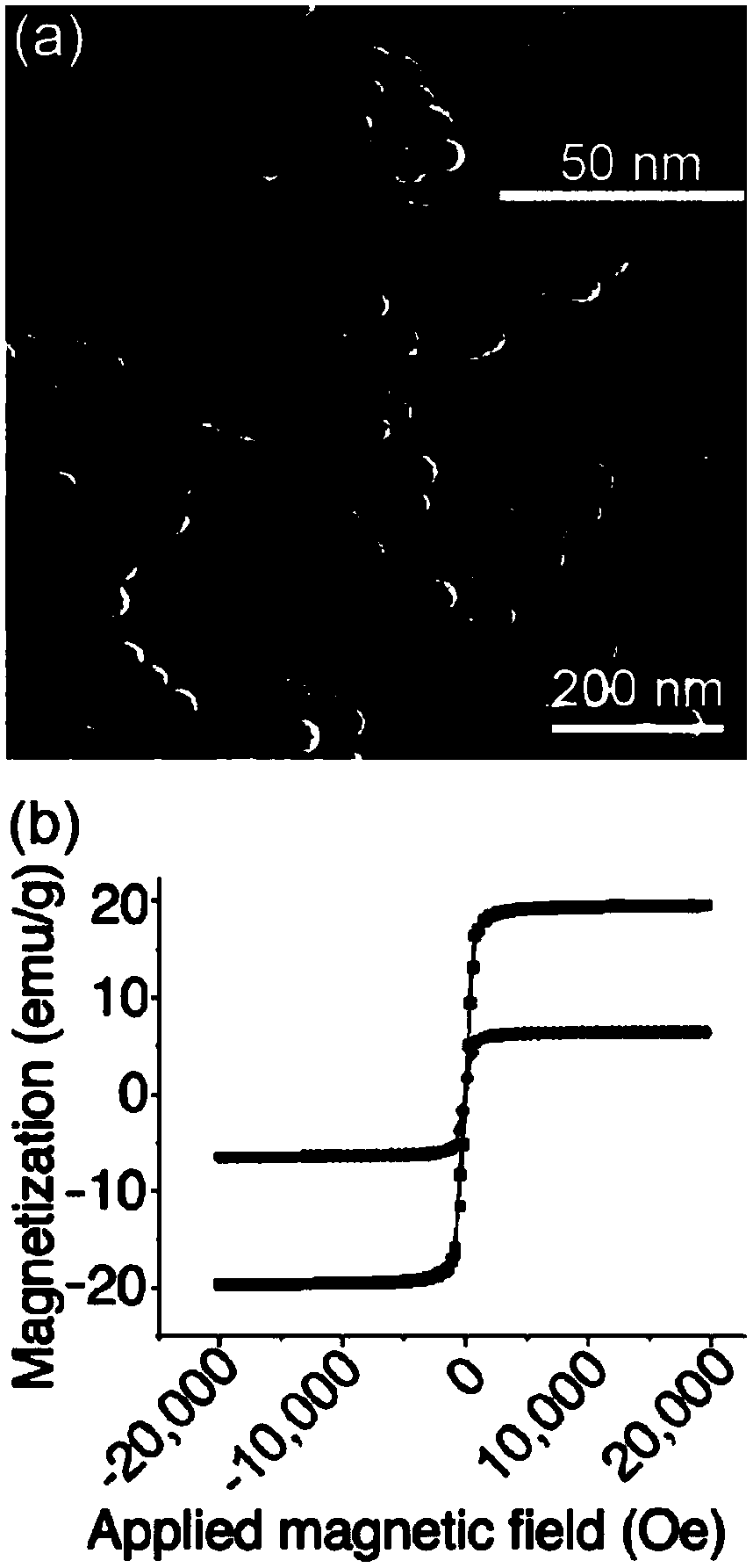 Magnetic nanoparticle and method for preparing elevated intraocular pressure animal model from same