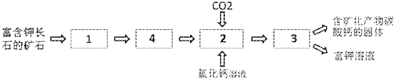 CO2 mineralization method for co-producing potassium-rich solution