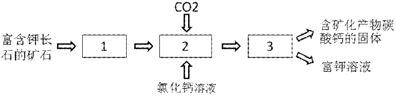 CO2 mineralization method for co-producing potassium-rich solution