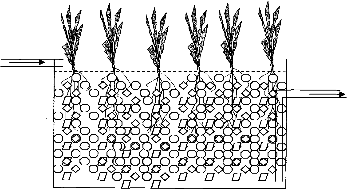 Novel method for rural sewage treatment and resource recycling