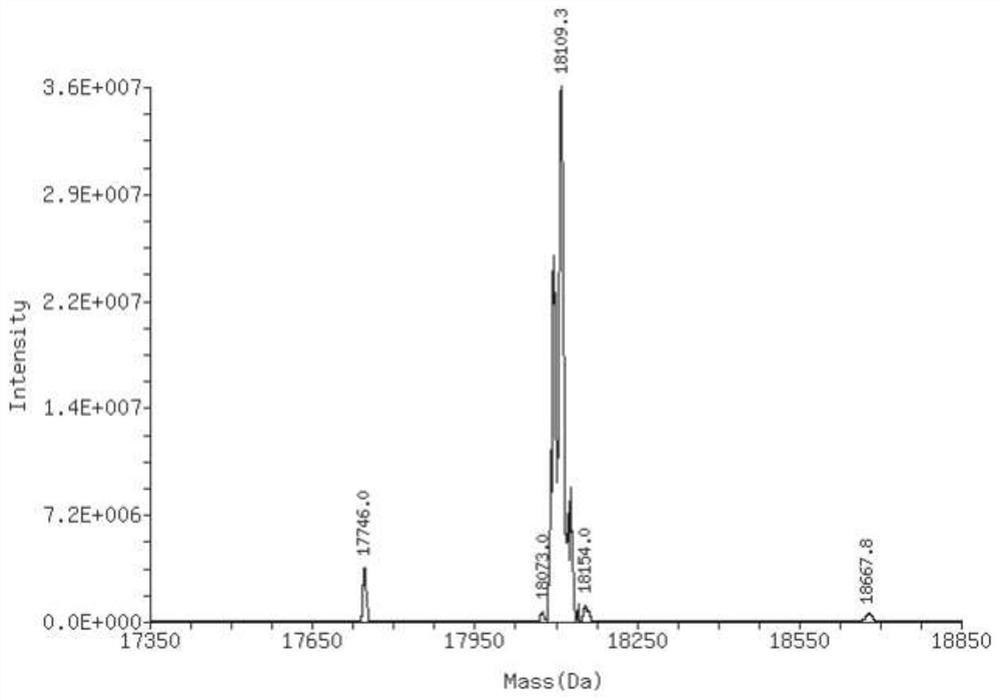 A kind of nucleic acid aptamer drug conjugate and its preparation method and use