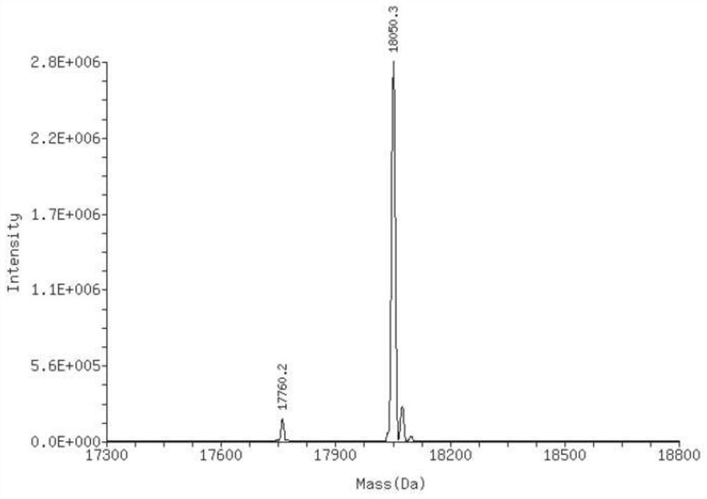 A kind of nucleic acid aptamer drug conjugate and its preparation method and use