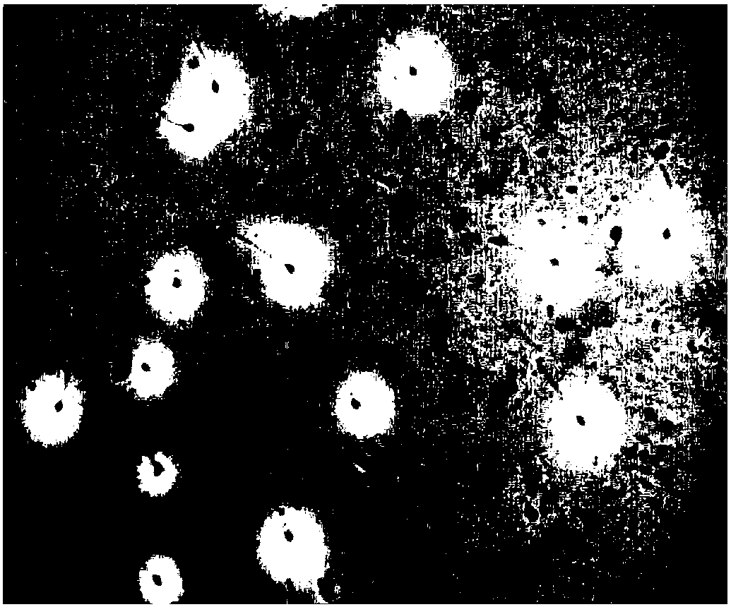 Improved crystal violet staining method for detecting sperm acrosome