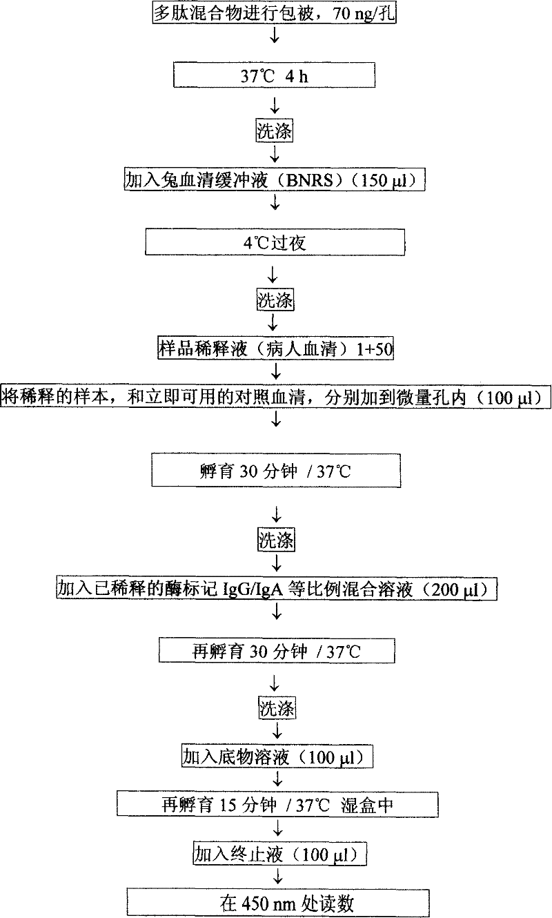 Alpha-fodrin antigen epi-position polypeptide mixture and its use